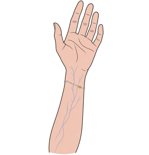 ฝ่ามือและท่อนแขนที่เห็นเส้นเลือดสีน้ำเงินม่วงที่ข้อมือด้านใน พร้อมกำไลเงิน
