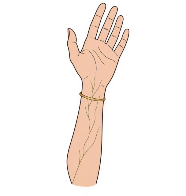ฝ่ามือและท่อนแขนที่เห็นเส้นเลือดสีเขียวที่ข้อมือด้านใน พร้อมกำไลทอง